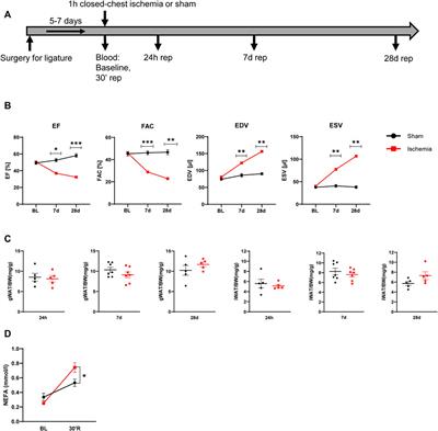 Cardiac ischemia modulates white adipose tissue in a depot-specific manner